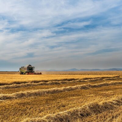 Jowhareh_galleries_6_poster_2ccdcdde-30c4-472b-8ee3-11879decc51f(1)