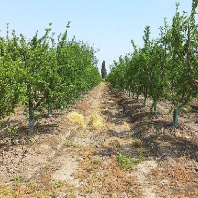 photo_2024-12-07_10-07-53 - Copy