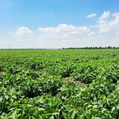 photo_2024-12-07_13-26-27