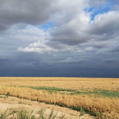 photo_2024-12-07_13-27-26