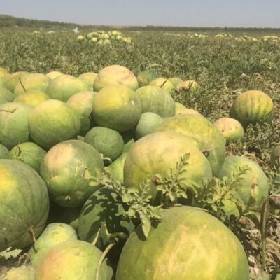 photo_2024-12-09_08-11-24