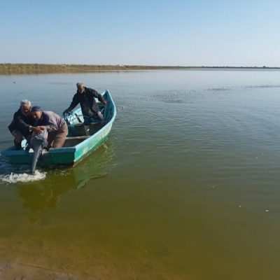 photo_2024-12-09_08-13-10