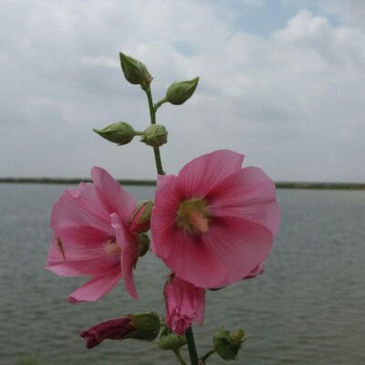 photo_2017-11-12_08-56-26