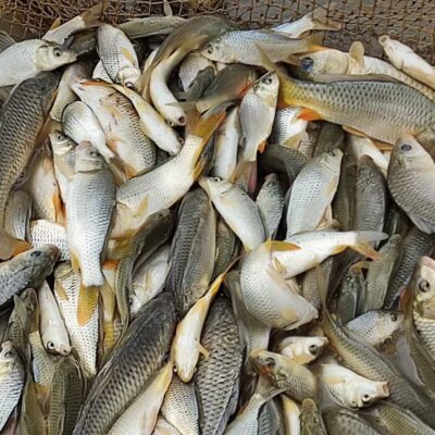 photo_2023-05-10_15-37-51