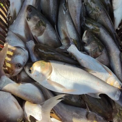 photo_2023-05-10_15-37-52