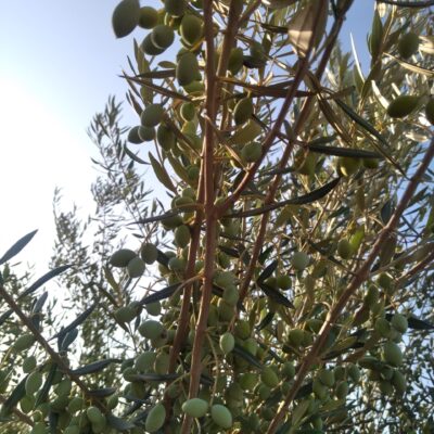 ۲۰۲۲۰۹۱۳_۰۷۴۱۴۹