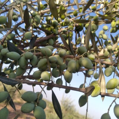 ۲۰۲۲۰۹۱۳_۰۷۴۲۲۸