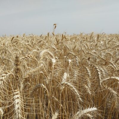 ۲۰۲۳۰۵۳۰_۰۹۳۸۰۲