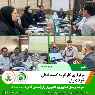 برگزاری کارگروه کمیته تعالی برگزاری کارگروه کمیته تعالی