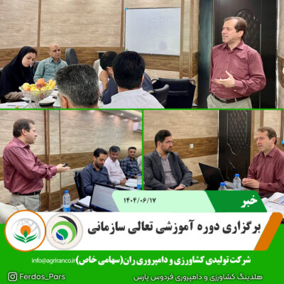 تعالی سازمانی تعالی سازمانی