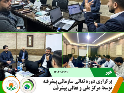 تعالی سازمانی پیشرفته