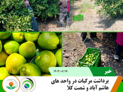مرکبات