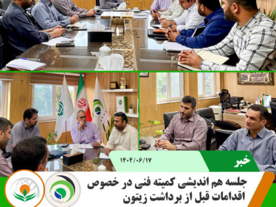 کمیته فنی 1