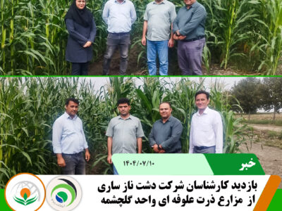 بازدید دشت ناز