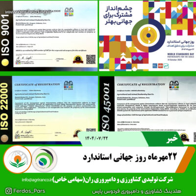 روز استاندارد روز استاندارد