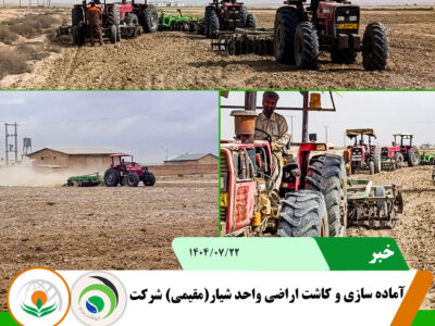 شیار شیار