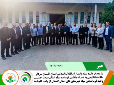 ملک ملک