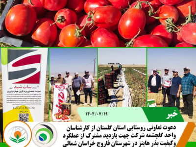 هاینز هاینز
