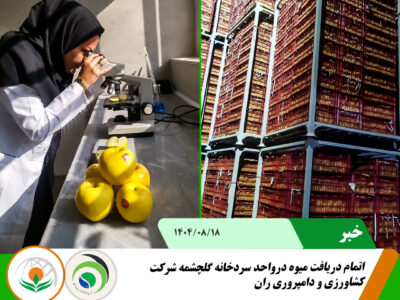 اتمام دریافت میوه سردخانه