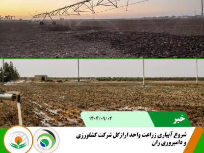 شروع آبیاری ارازگل