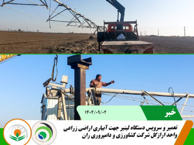 لینیر ارازگل