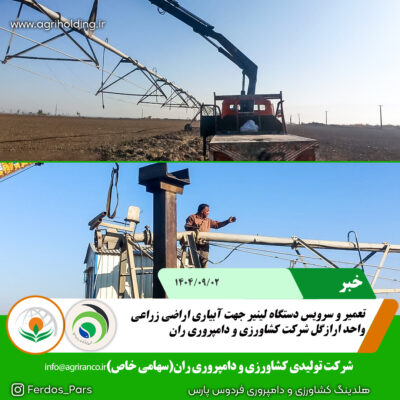 لینیر ارازگل