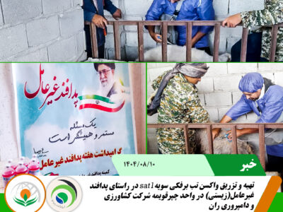 واکسن تب برفکی