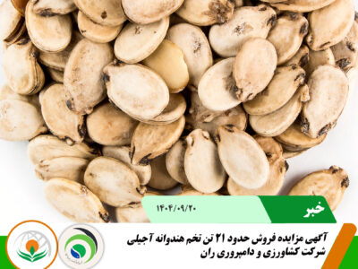 مزایده هندوانه آجیلی