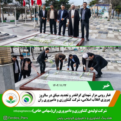 غبار روبی