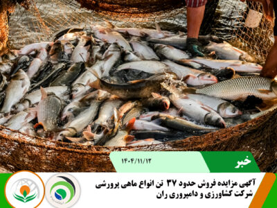 مزایده فروش ماهی