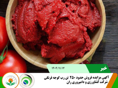 گوجه فرنگی 3