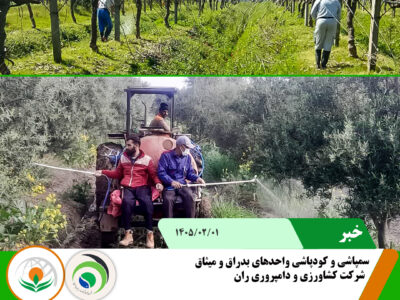 بدراق و میثاق