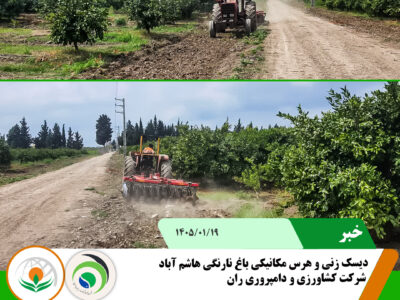 دیسک زنی هاشم آباد