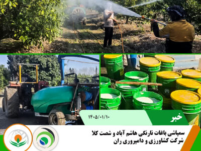 سمپاشی باغات نارنگی