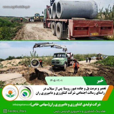مرمت پل