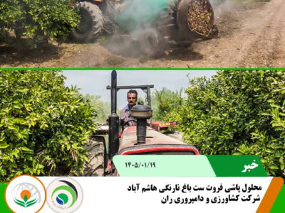 نارنگی فروت ست