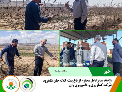 کلاته خان شاهرود