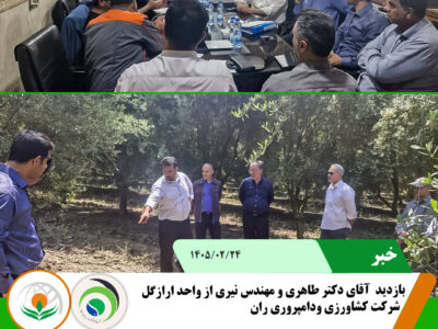 طاهری و نیری
