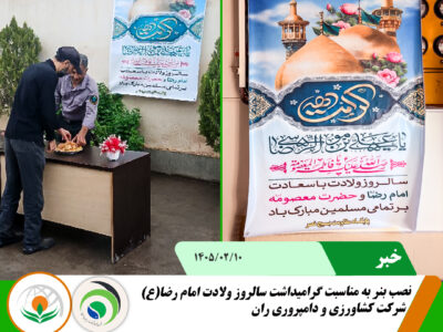 میلاد امام رضا