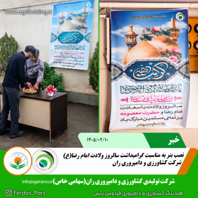 میلاد امام رضا
