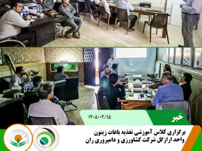 کلاس تغذیه باغات زیتون