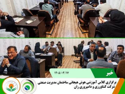 هوش هیجانی