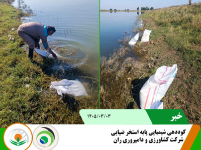 کوددهی ضیایی