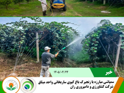 زنجیرک