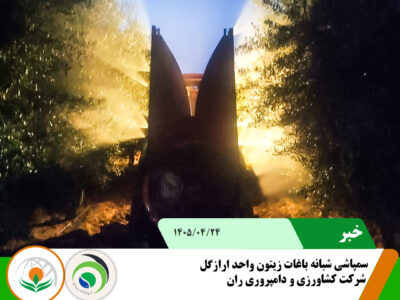 سمپاشی شبانه