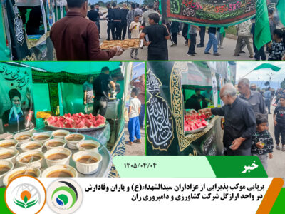 موکبب