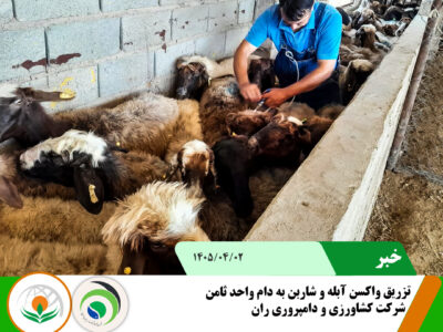 واکسن دام