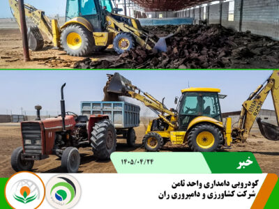 کودروبی ثامن