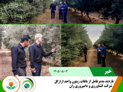 بازدید ارازگل