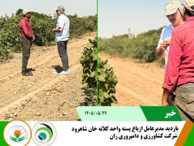 باغ پسته